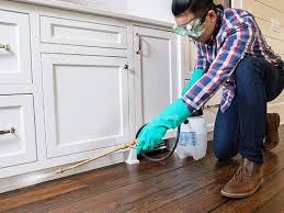 Best Pest Exclusion Services  in Barnesville, OH